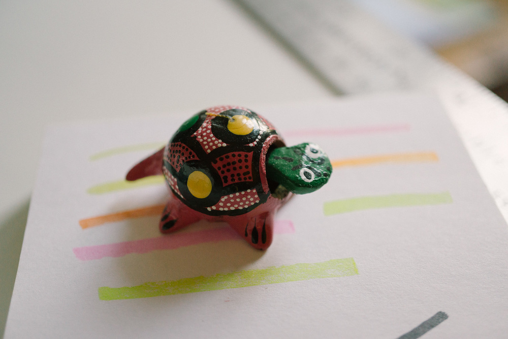 My turtle helps me remember to slow down.
