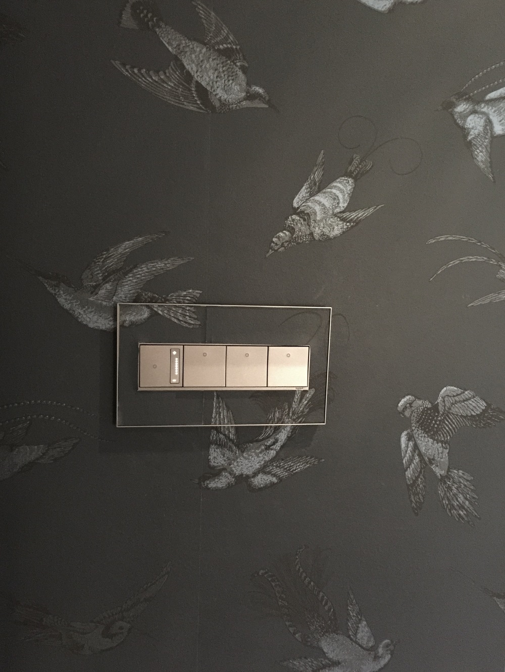 Legrand Adorne switch on wallpaper