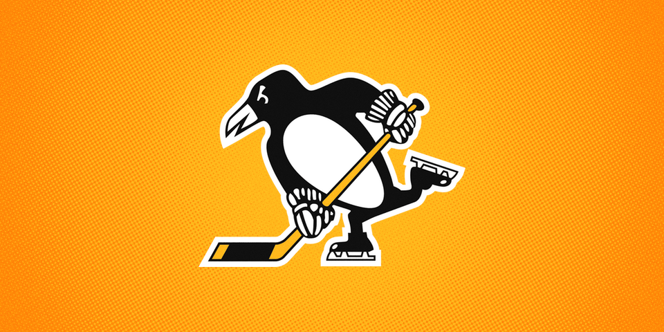 nhl stadium series penguins