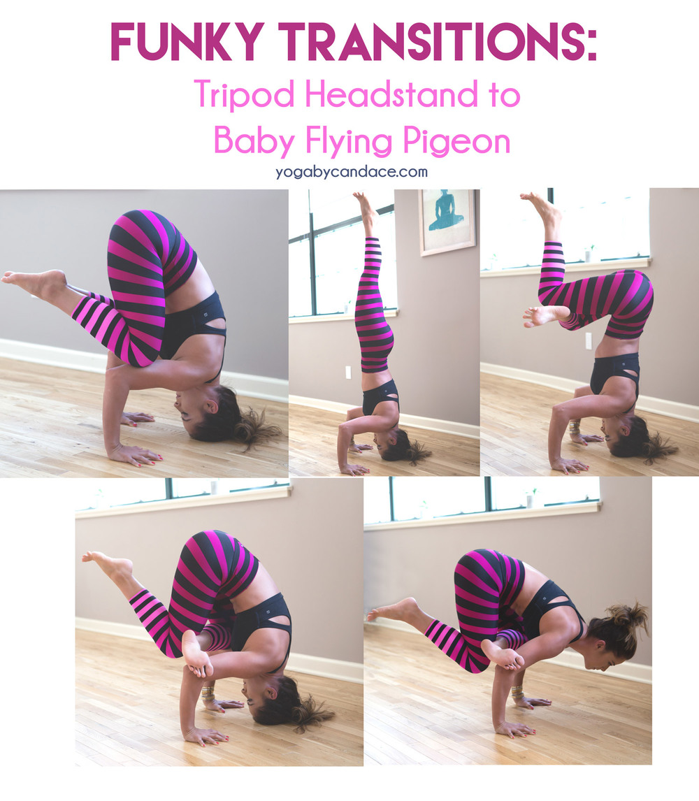 Pin now, practice later - funky transition: tripod headstand to baby flying pigeon