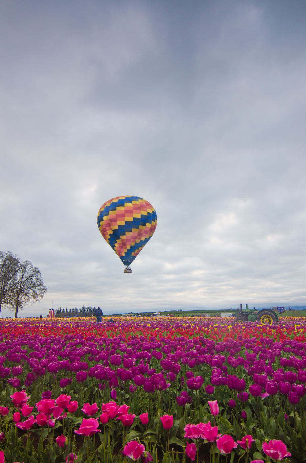  The first and only Hot Air Balloon that successfully launched from the tulip farm. 