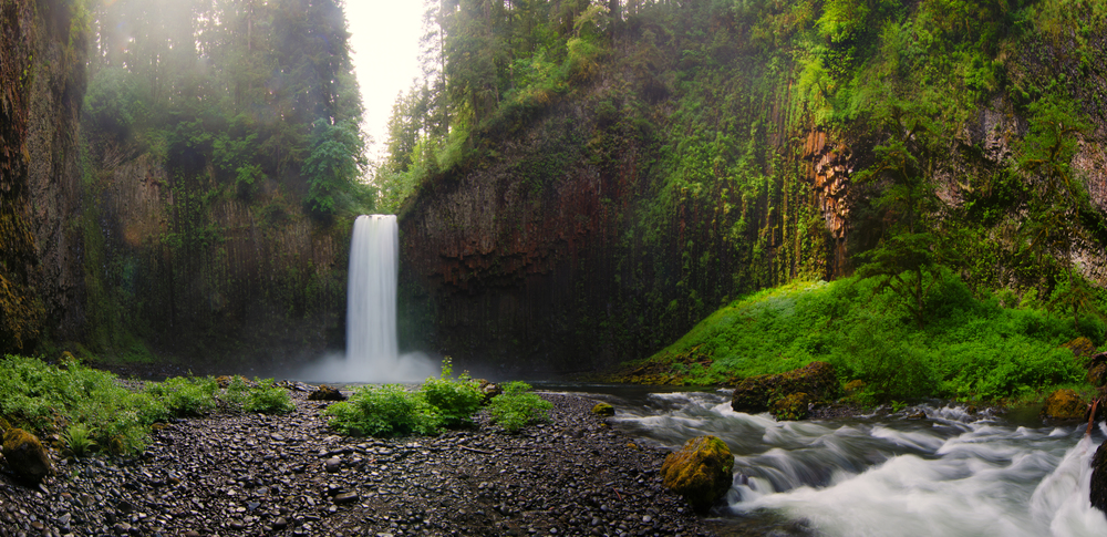  The beautiful Abiqua Falls showing off a great water flow this time of year. 