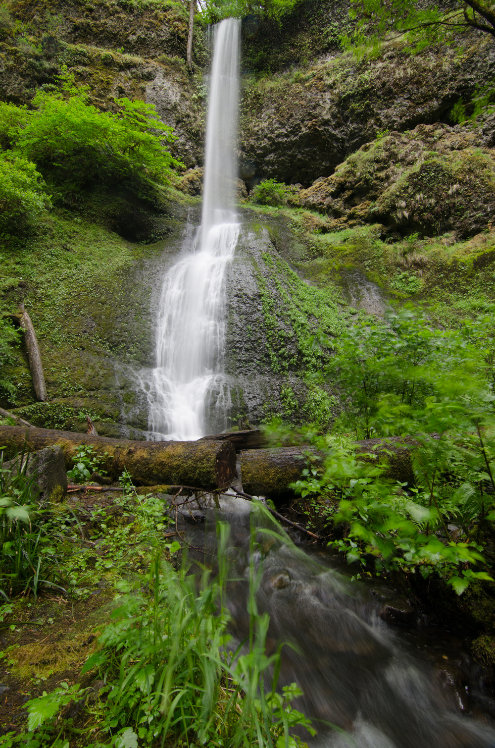  A waterfall at Silver Falls state park. 
