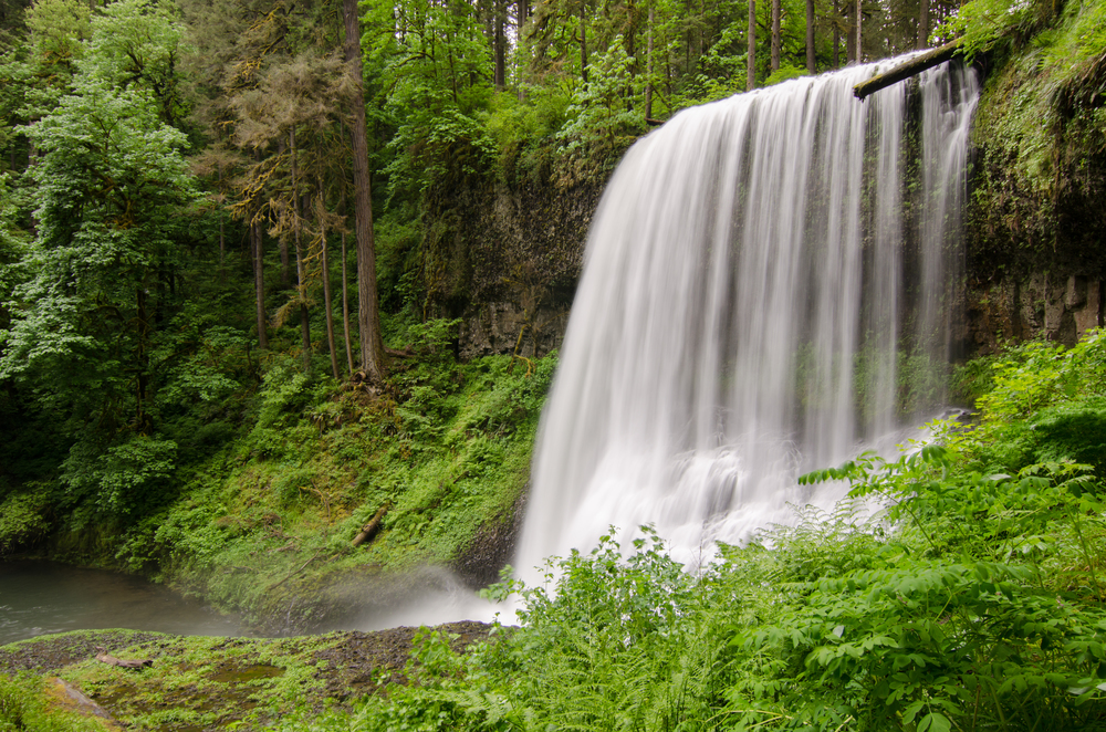  A more traditional view of one of the waterfalls at Silver Falls state park. 