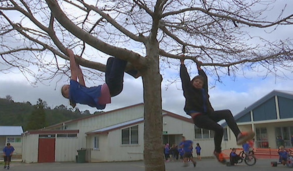 OH&S not a problem at Swanson School in Auckland. image - SBSTV