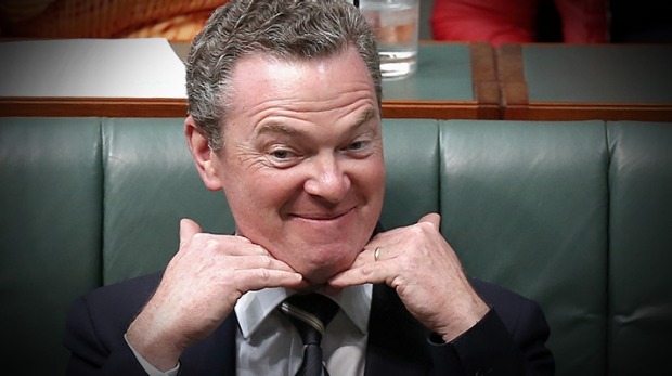 Christopher Pyne, Federal Minister for Industry, Innovation and Science and Leader of the House. image source - Fairfax