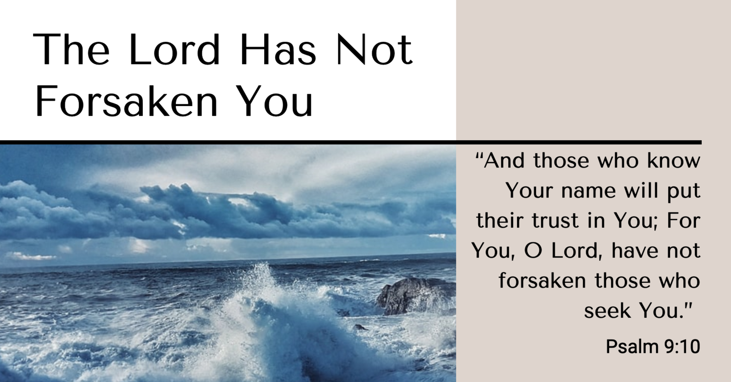 The Lord Has Not Forsaken You Scripture Paths