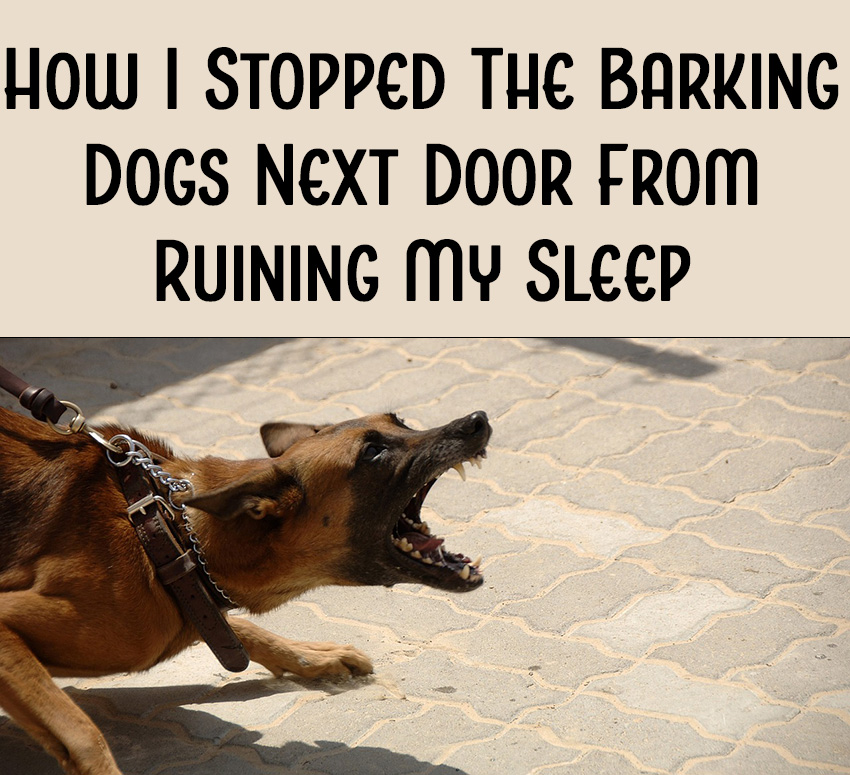 How I Stopped the Barking Dogs Next Door From Ruining My Sleep — The Curious Coconut