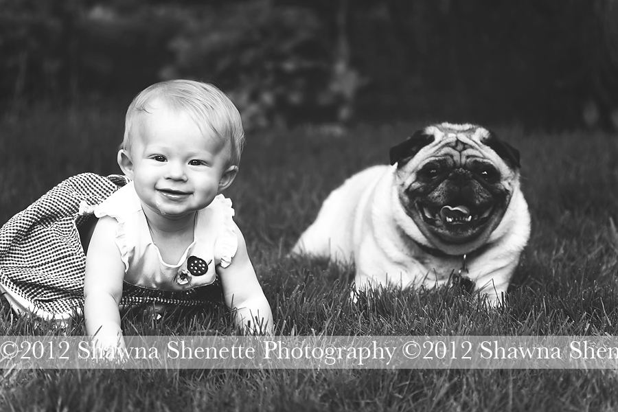 Massachusetts Baby Photographer | Shawna Shenette Photography