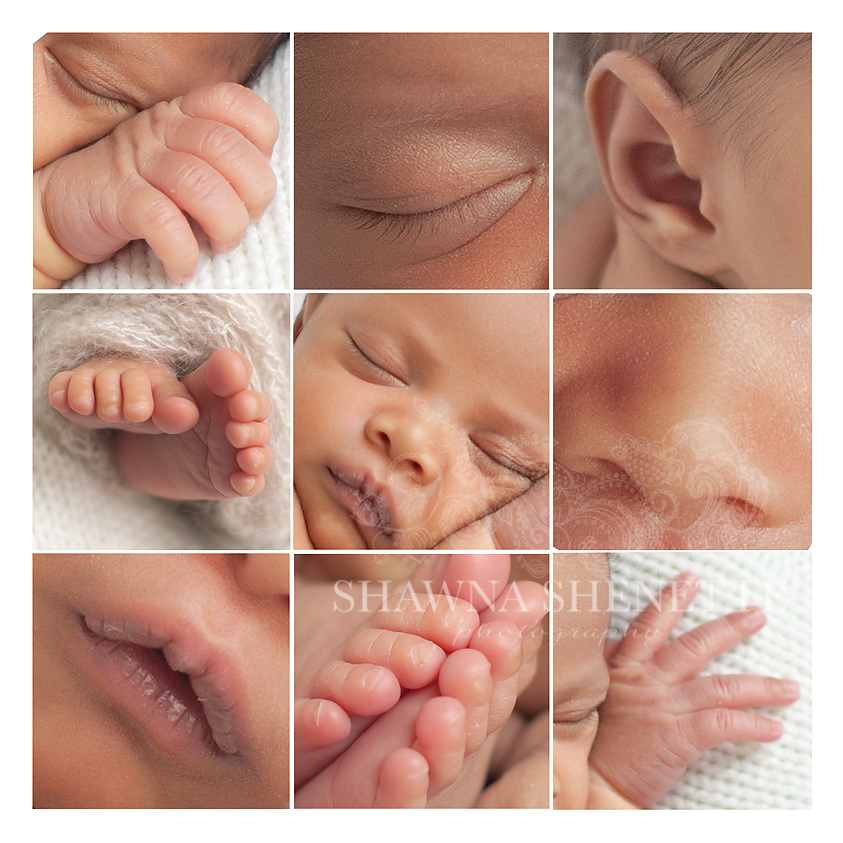 Worcester Ma Newborn Photographer Boston Auburn Collage