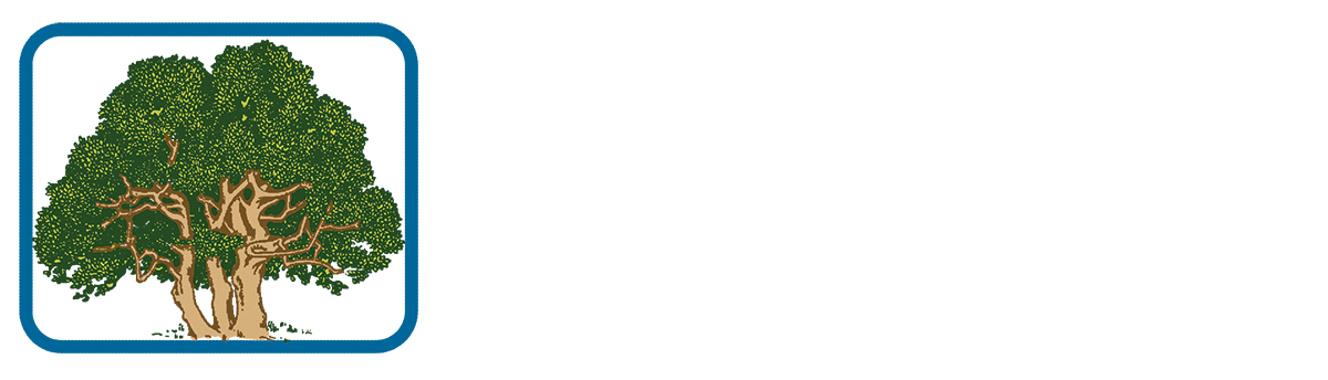 Jaycee Newman Inc