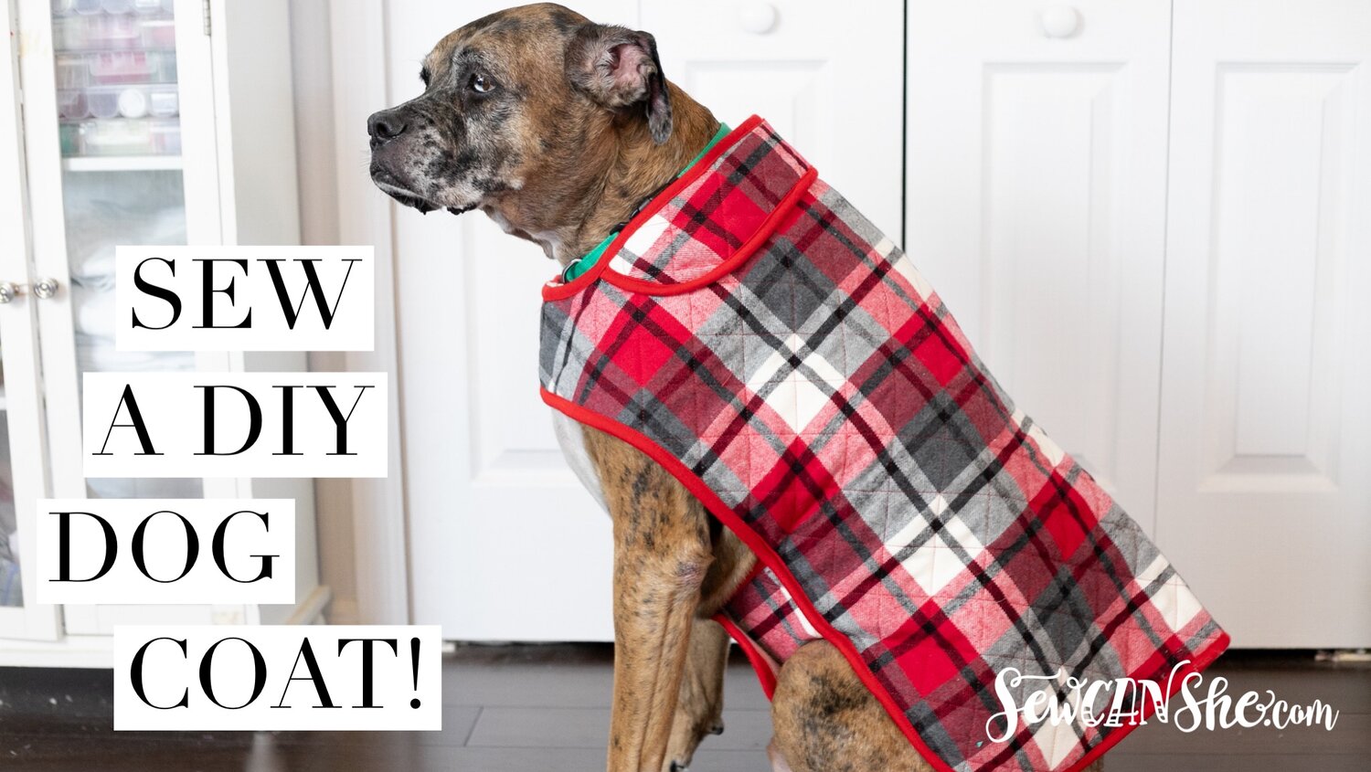 Diy Fur Baby Coat How To Sew A Dog Coat Sewcanshe Free Sewing Patterns For Beginners