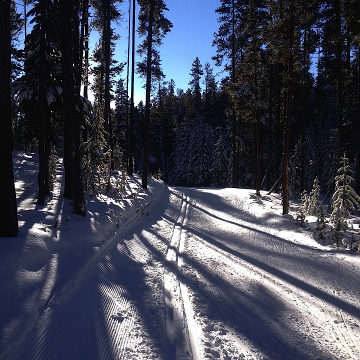  Beautiful trails on my ski with Gavin 