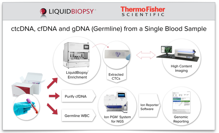 Comprehensive and distributable workflow for ctcDNA, cfDNA and germline sequencing with optional CTC enumeration and highly multiplexed genomic data.  <48 hour turn-around, Variant detection: 1% sensitivity, CTC enrichment: 1 in a billion cells