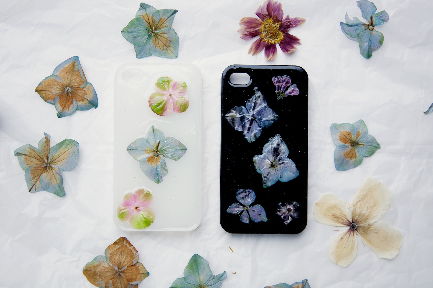 Details about   Real Pressed Dried Flower Floral for DIY Phone Case Card Making Nail Arts 