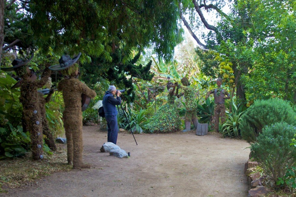 A photographer at work in the San Diego Botanic Gardens