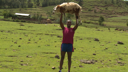 Click photo to download. Caption: Mekonen Abebe triumphantly lifts a sheep above his head in his Ethiopian hometown. Credit: Jerusalem U.