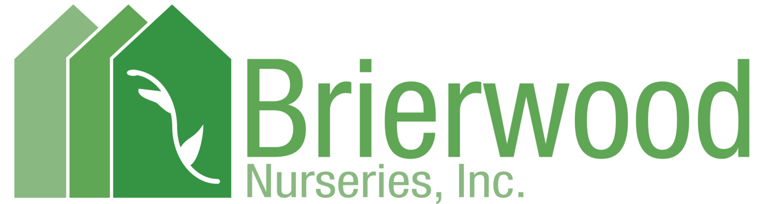 Brierwood Nurseries Inc
