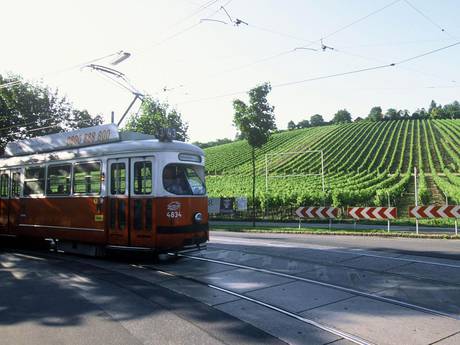 Vienna trolley cruising past the vineyards of the Nussberg in Vienna's 19th District