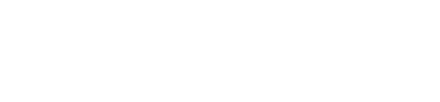 Rom Architecture Studio