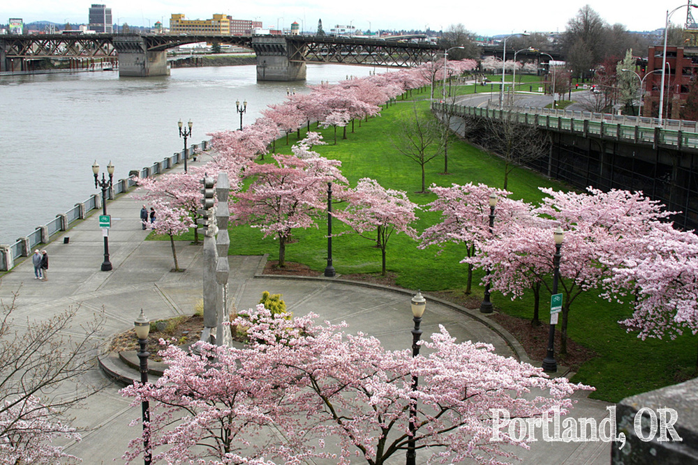 Waterfront_Park,_Portland.jpg