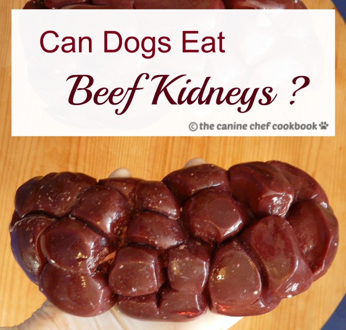 Can Dogs Eat Beef Kidneys? — The 