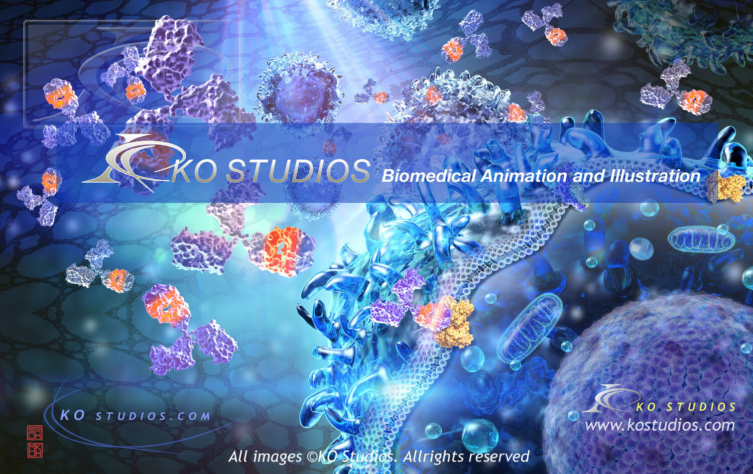 KO Studios Medical Illustration and Animation
