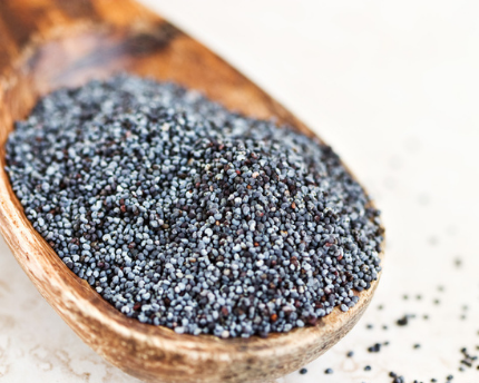 Eating Poppy Seeds During Pregnancy — Every Little Thing Birth and ...