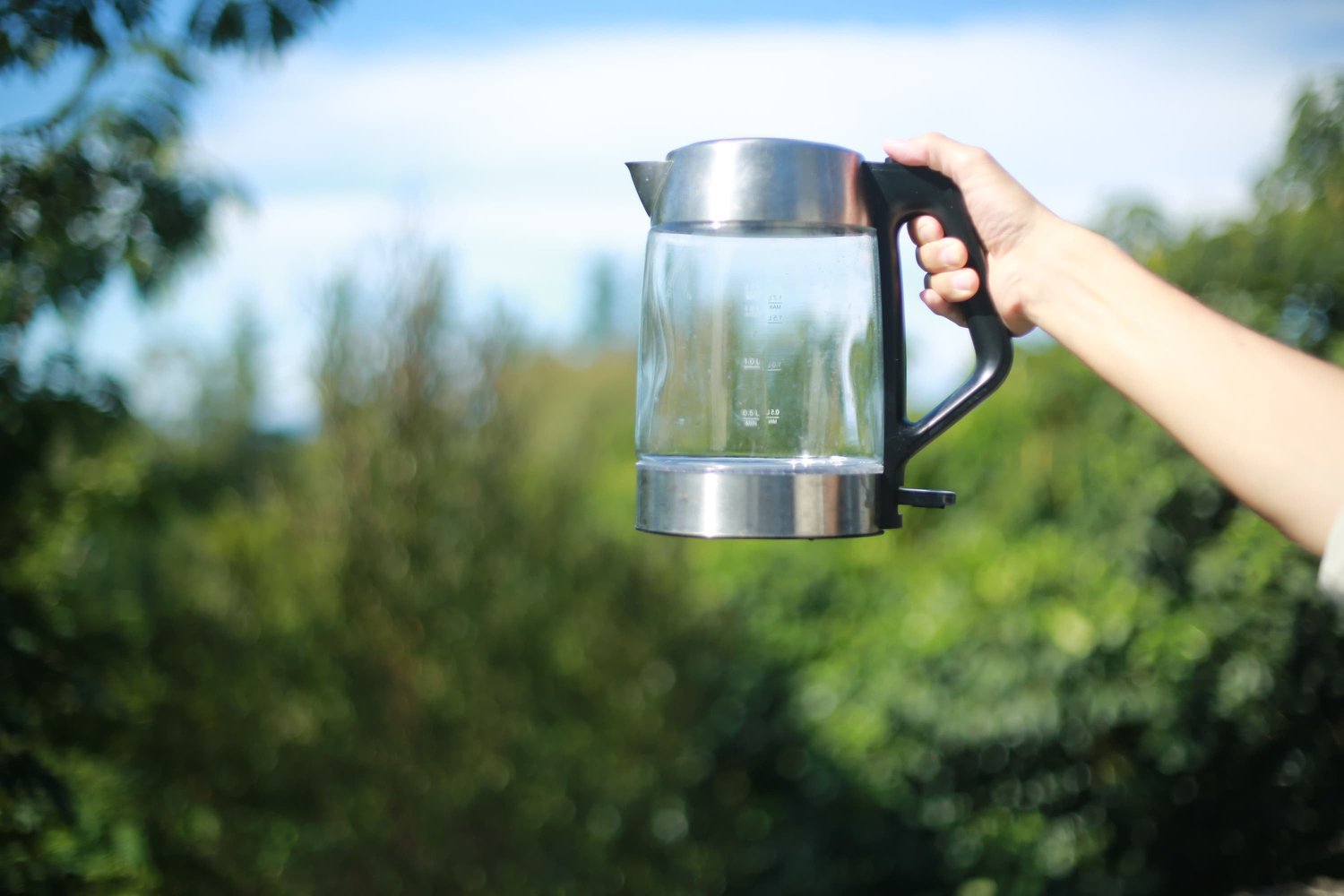Why You Should Fill Your Tea Kettle With Cold Water - Parade