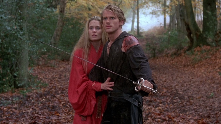 the-princess-bride-breakdown-of-difference-between-the-book-and-the-film