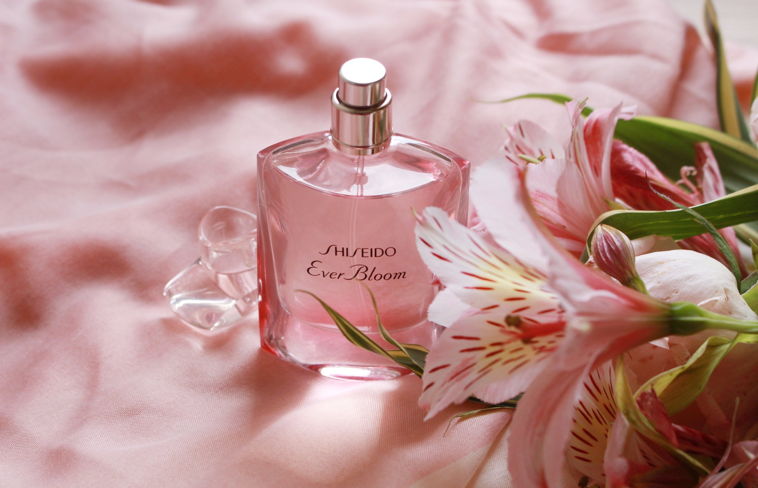 shiseido sakura ever bloom