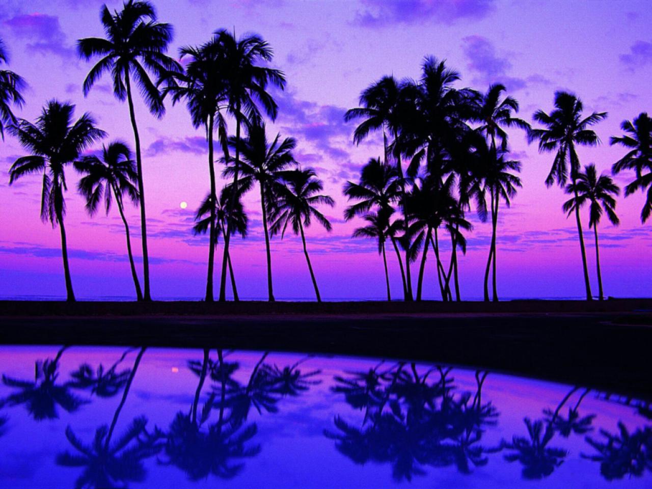 Purple+Sunset.jpg?format=1500w