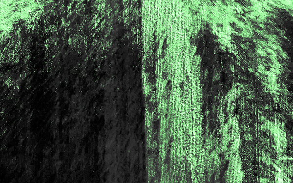 This NDVI image of two wheat field shows the benefits of letting a field go fallow in organic dryland farming. The water accumulated over the year that the field at right was not cultivated enabled robust crop growth, while the field at left is significantly behind.