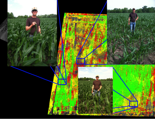 DVI image of approximately 40 acres of corn. This field looks very homogenous from ground, but aerial imagery indicates dramatic heterogeneity. In the green areas of the field, the corn is nearly chest high, while the corn is only ankle high or knee high in the red or yellow areas, respectively.