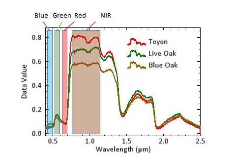 Several vegetation signatures with the blue, green, red and near infrared portions of the spectrum highlighted.