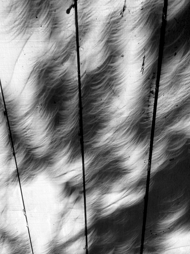 Eclipse shadows on the garage wall