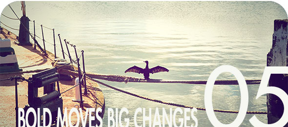 'Bold Moves Big Changes' Volume 05 Cover