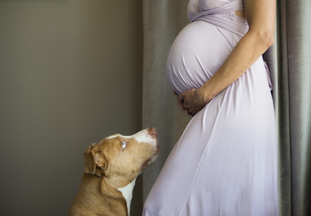 Tips for Introducing Pet to New Baby