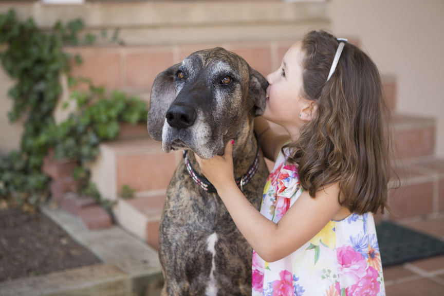 choosing the right pet for your family