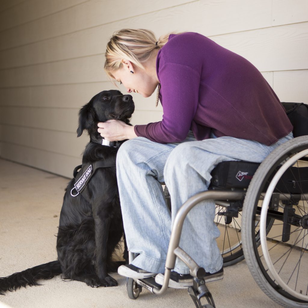 lady in a wheelchair with a service dog