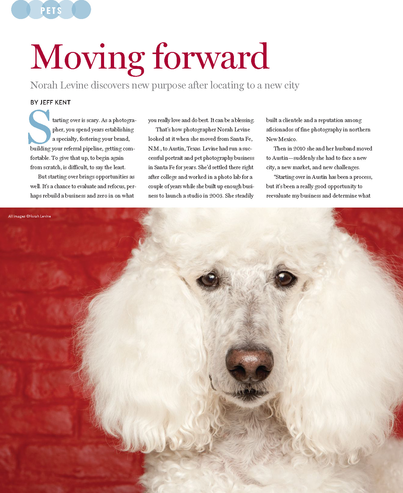 Pet Photography Article