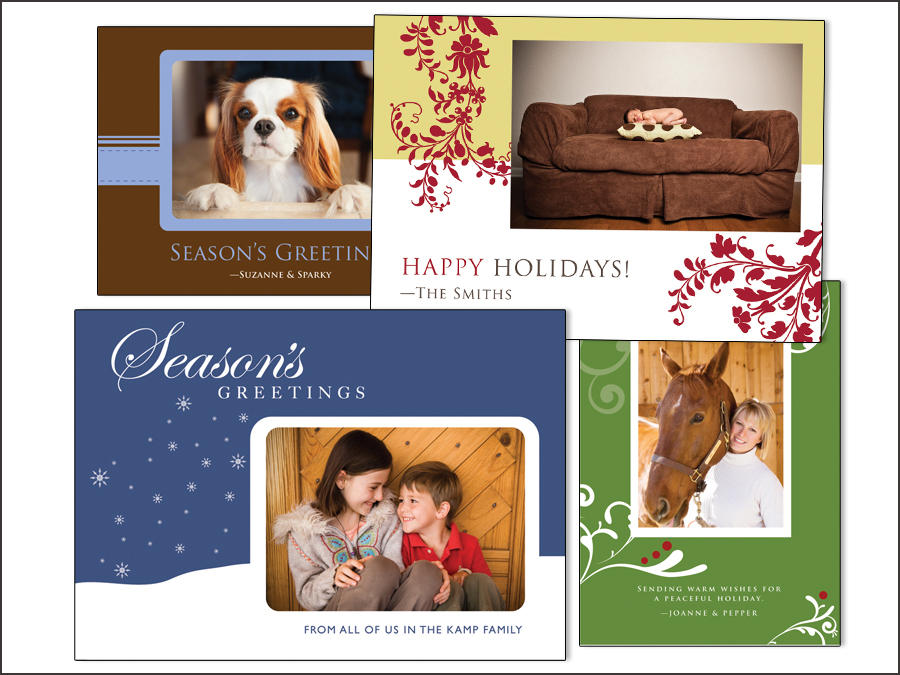 Holiday Photo Cards by Norah Levine Photography