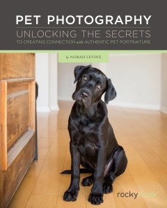 Pet Photography Book by Norah Levine