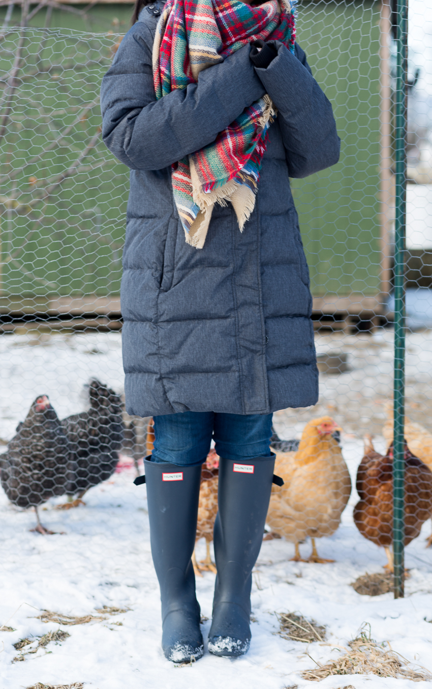 Hunter boots and Roots parka at chicken coop