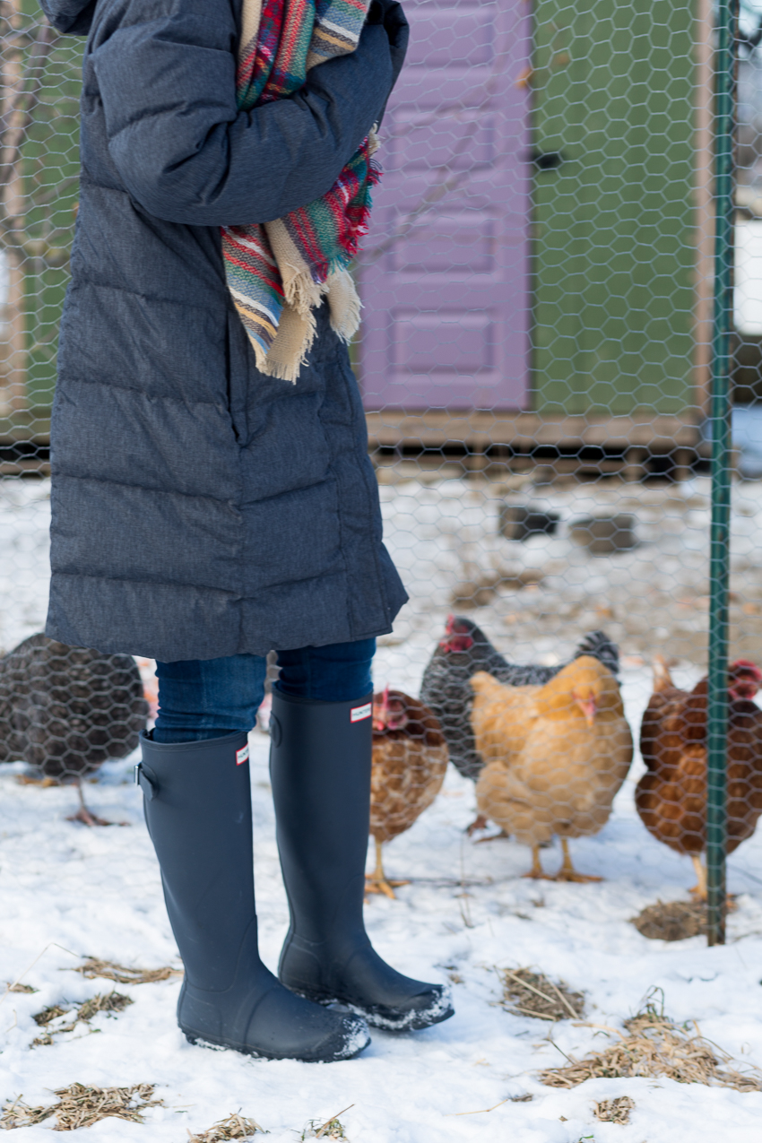 farm outfit chicken coop hens hunter boots snow