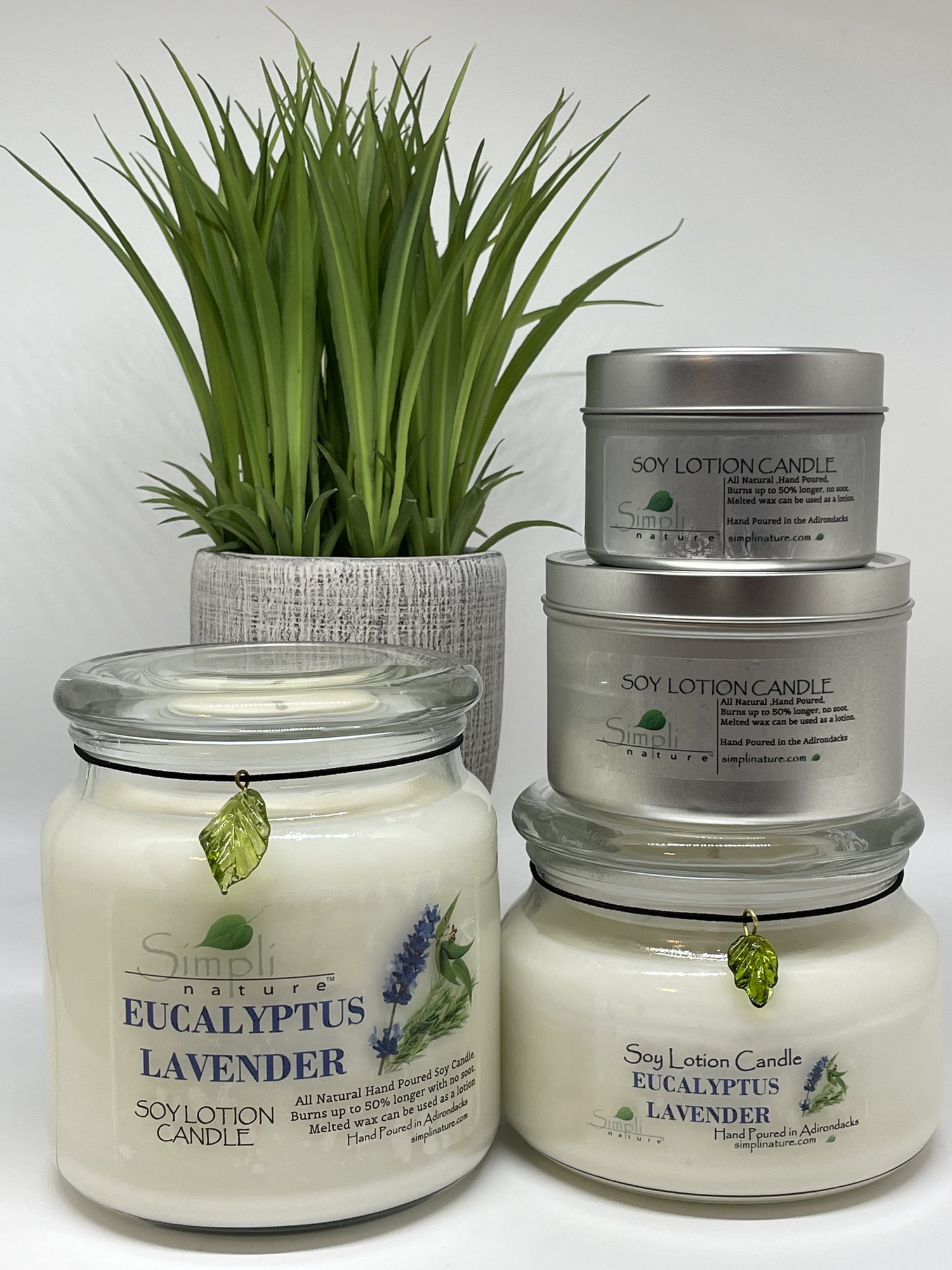 I & Candle (Eucalyptus / Lavender) Aromatherapy Wax Melts. 100% Soy Wax  Non-GMO (Set of 2)