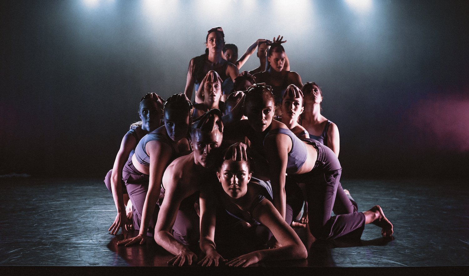 Distinguished Modern Dance Firm SCIMM introduces their Pre-Skilled Full-Time Coaching Course — A Dancer’s Life