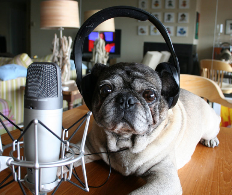 Roscoe Considers Recording a Podcast, von zoomar, via Flickr, Creative Commons. 