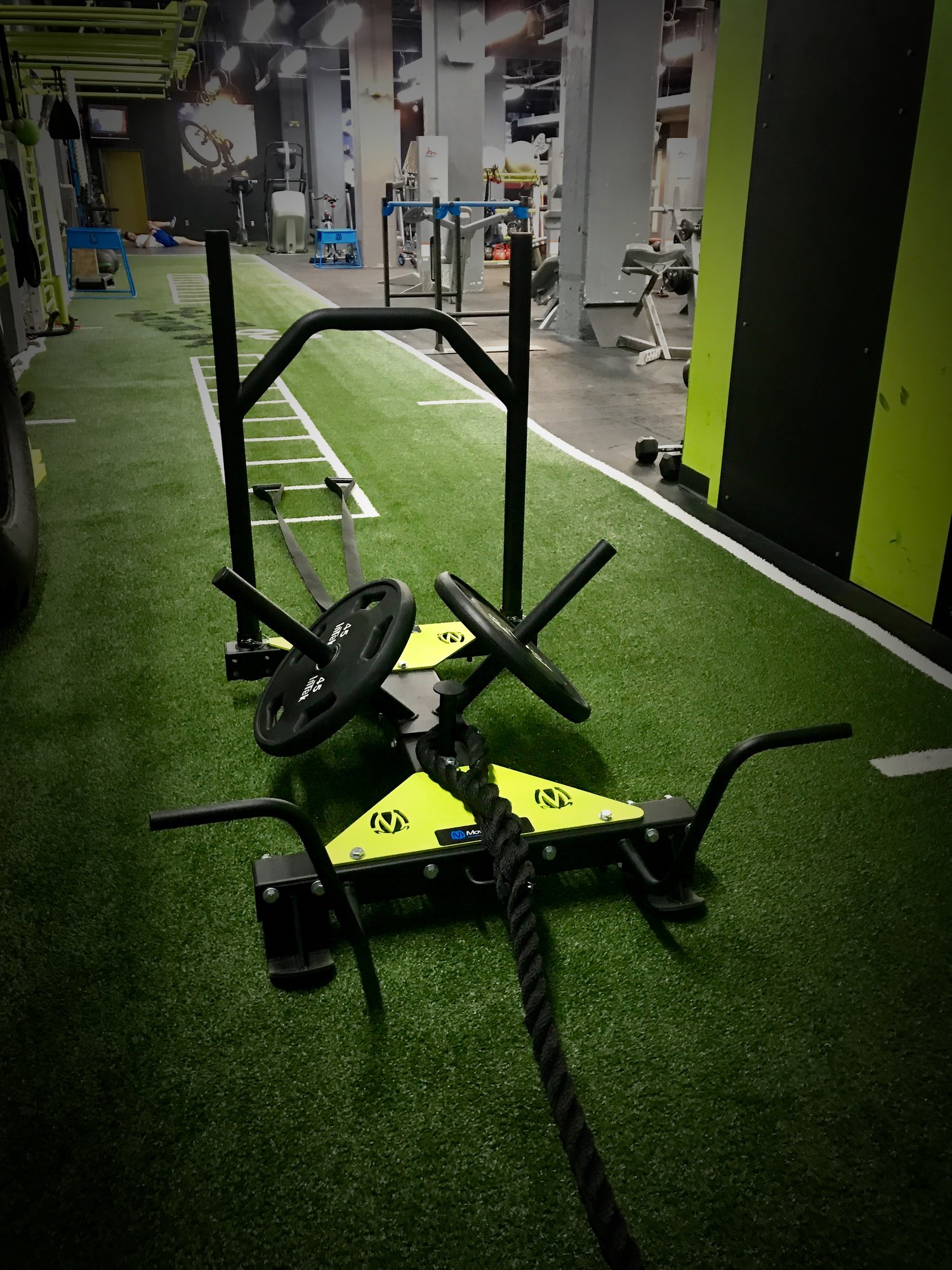 TAP Conditioning Multi-Weight Sled