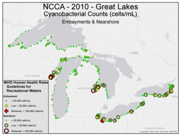 All the information in the EPA study – from Cyanobacteria counts to fish tissue data – is limited to the US side of the Great Lakes. (Map from the EPA's 2015 report / pg. 116)
